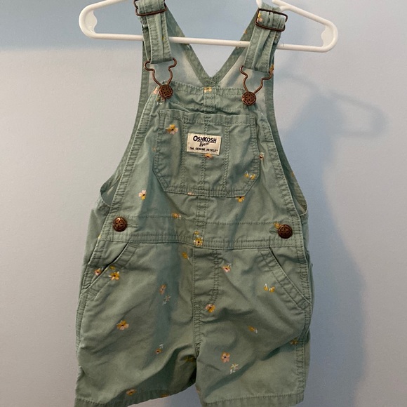Toddler Girl Overalls 2T